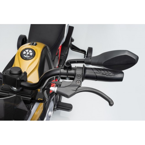 Vehicle Motor BMW G310GS Champagne