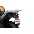 Vehicle Motor BMW G310GS Champagne