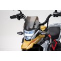 Vehicle Motor BMW G310GS Champagne
