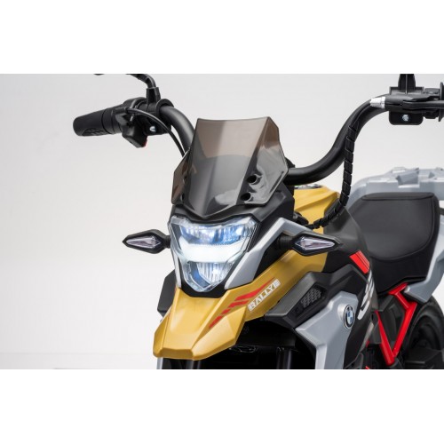 Vehicle Motor BMW G310GS Champagne