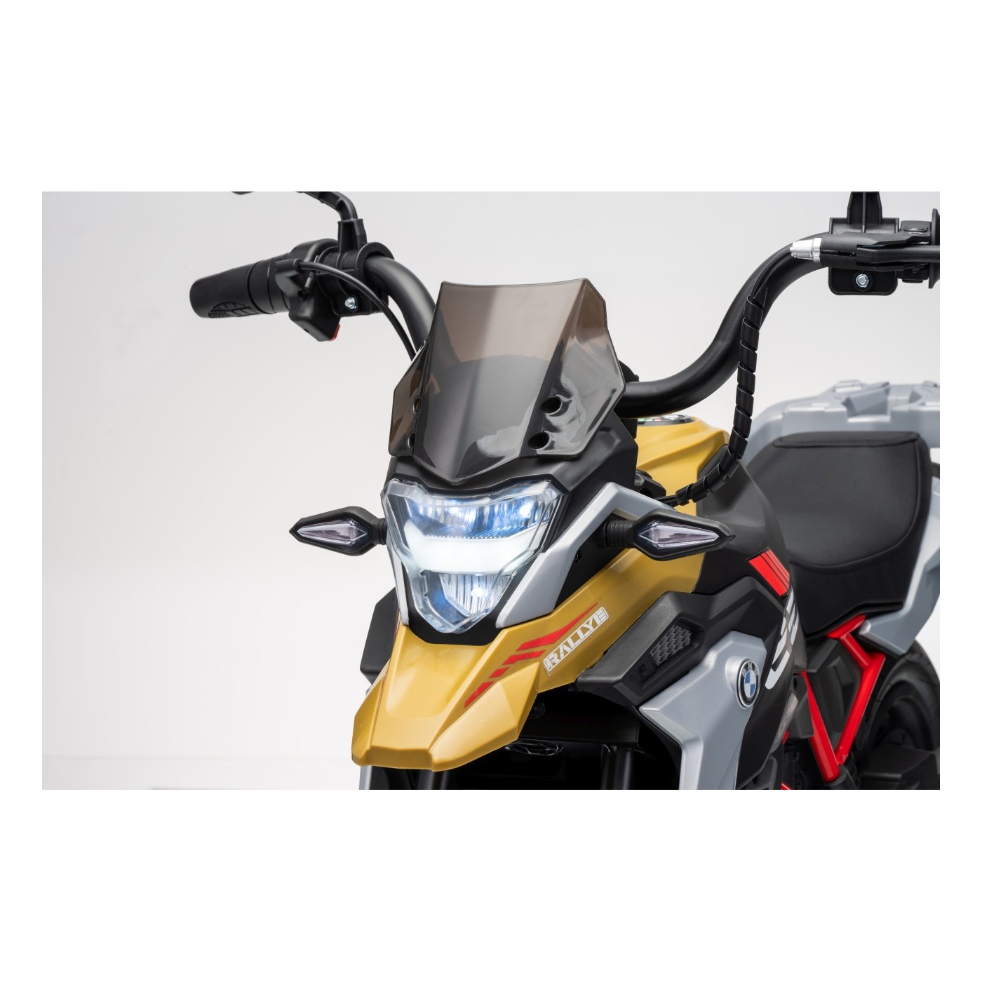 Vehicle Motor BMW G310GS Champagne