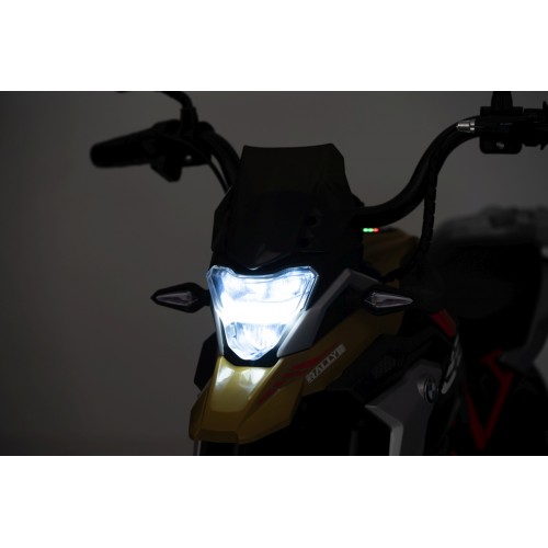 Vehicle Motor BMW G310GS Champagne
