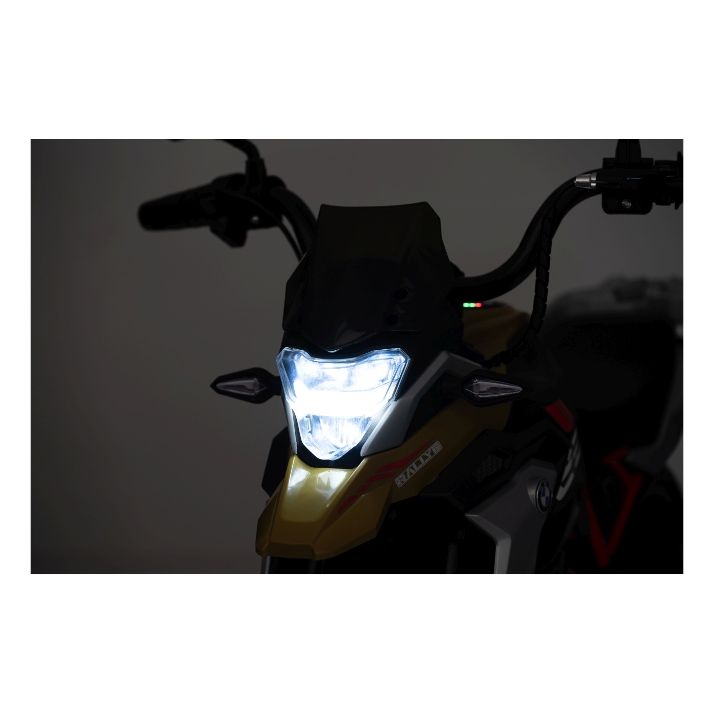 Vehicle Motor BMW G310GS Champagne