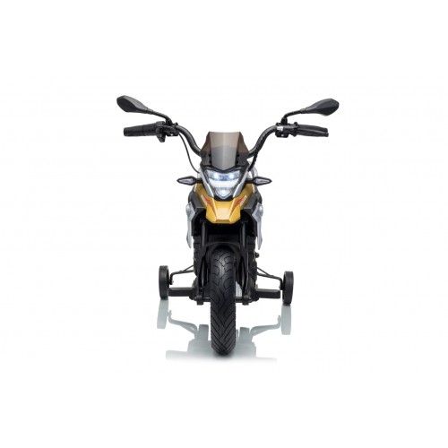Vehicle Motor BMW G310GS Champagne