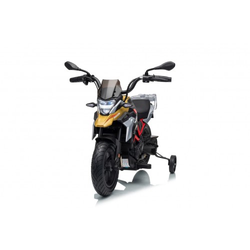 Vehicle Motor BMW G310GS Champagne
