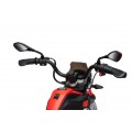 Vehicle Motor BMW G310GS Red