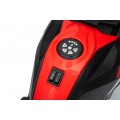 Vehicle Motor BMW G310GS Red