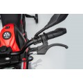Vehicle Motor BMW G310GS Red
