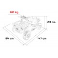 Buggy PROSPECTOR 4x4 STRONG Pink