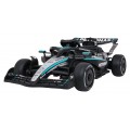 Vehicle AMG PETRONAS F1 Black Racing Car