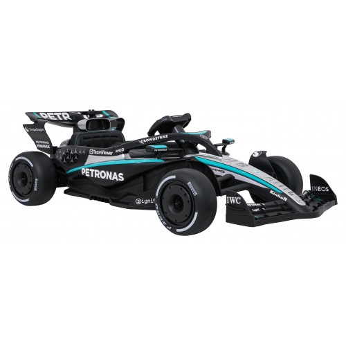 Vehicle AMG PETRONAS F1 Black Racing Car