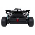 Vehicle AMG PETRONAS F1 Black Racing Car