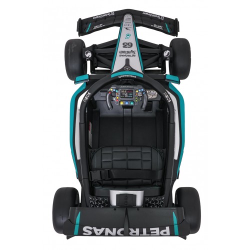 Vehicle AMG PETRONAS F1 Black Racing Car