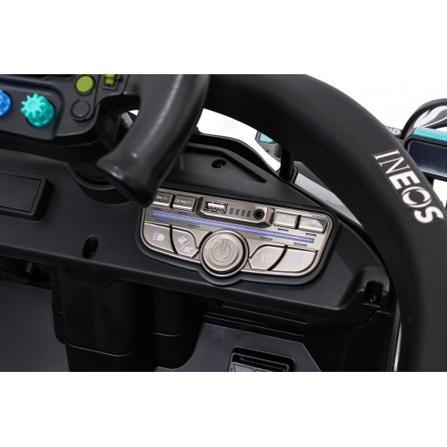 Vehicle AMG PETRONAS F1 Black Racing Car