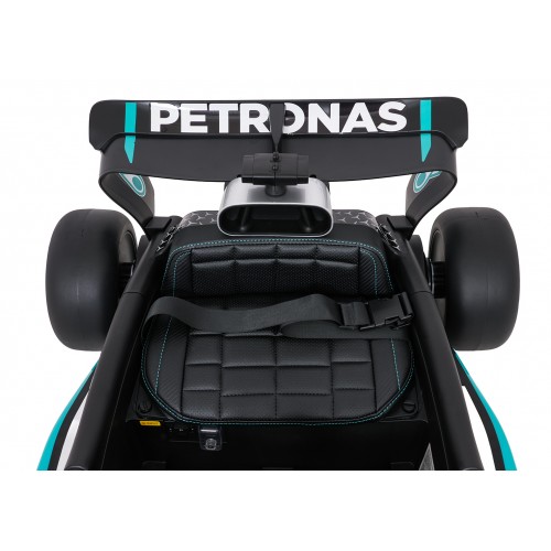 Vehicle AMG PETRONAS F1 Black Racing Car