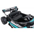 Vehicle AMG PETRONAS F1 Black Racing Car