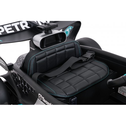 Vehicle AMG PETRONAS F1 Black Racing Car