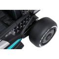 Vehicle AMG PETRONAS F1 Black Racing Car