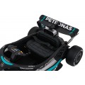 Vehicle AMG PETRONAS F1 Black Racing Car