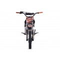 copy of PANTHER 110CC Green Combustion Engine Vehicle