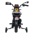 Vehicle Motor BMW G310GS Champagne