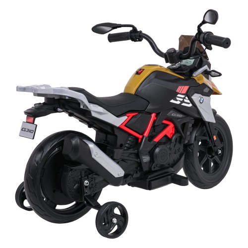 Vehicle Motor BMW G310GS Champagne