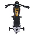 Vehicle Motor BMW G310GS Champagne