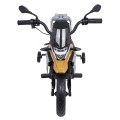 Vehicle Motor BMW G310GS Champagne