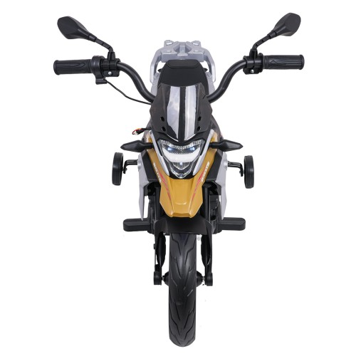 Vehicle Motor BMW G310GS Champagne