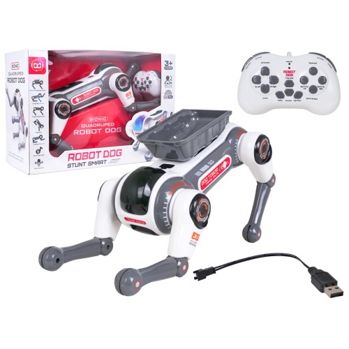 R/C robot AIDOG with lights function