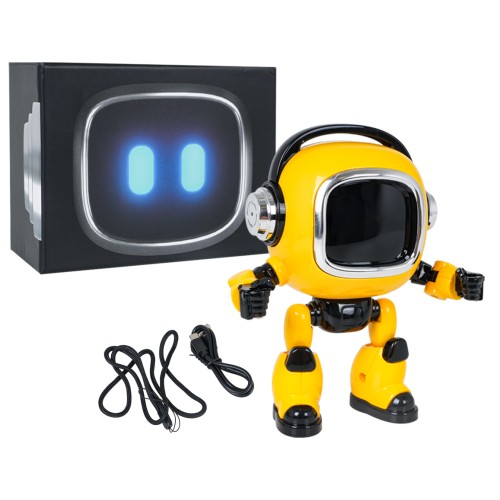 AI Robot for Learning and Talking